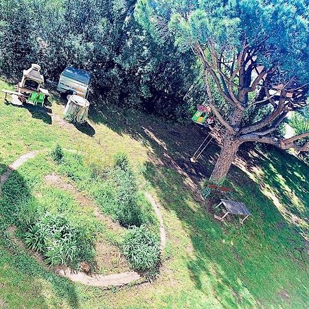 Grand T3 Frejus Base Nature Dış mekan fotoğraf